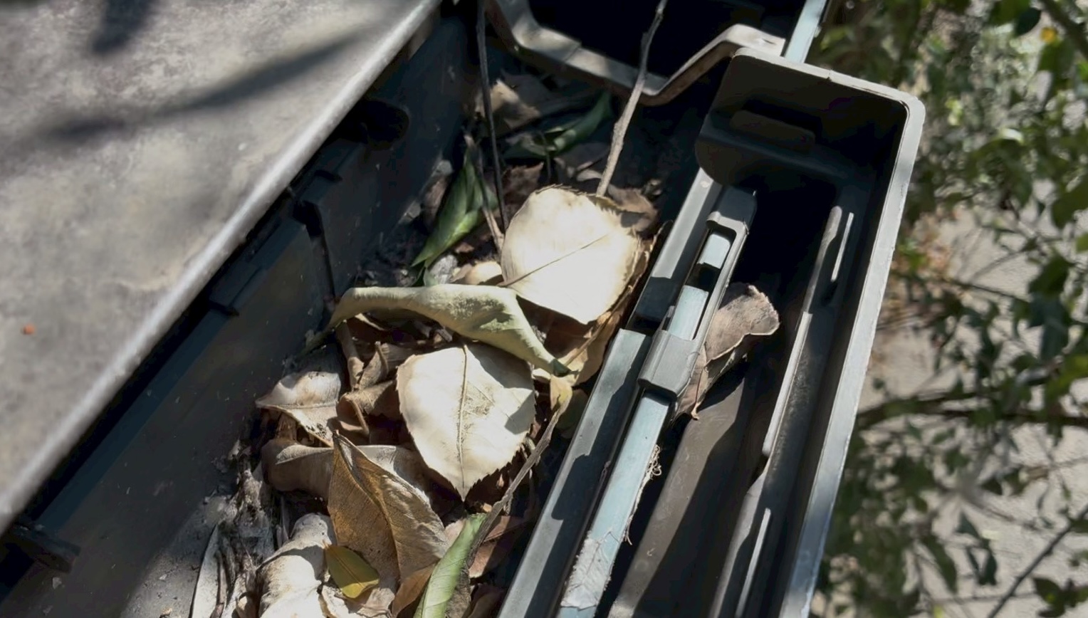 葉が溜まりすぎて樋の落とし口が隠れている